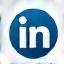 LinkedIn icon